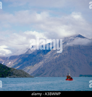 Piccola barca da pesca in Qoroqfjord, vicino Narsarsuag, Groenlandia meridionale. Foto Stock