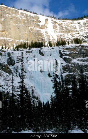 Canadian Rocky Mountains; Rockies Canada America del Nord; cascate di ghiaccio. In verticale Foto Stock