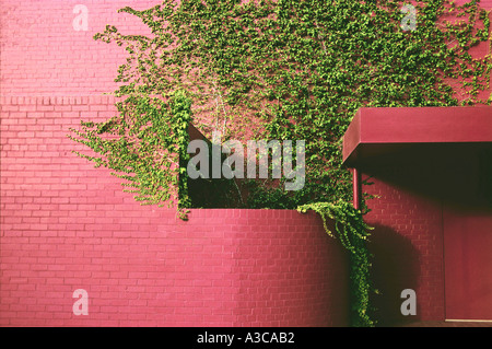 uomo e natura Foto Stock