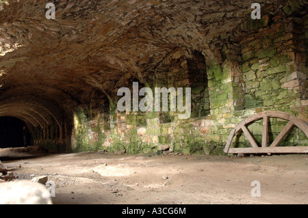 Il Krzyztopor (croce e ax) vecchio castello a partire dal XVII secolo in Ujazd, Regione di Malopolska in Polonia Foto Stock