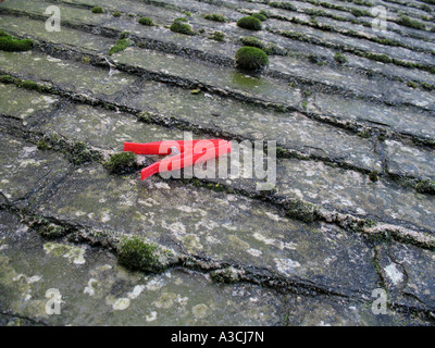 Vestiti di rosso peg sul tetto in ardesia St. Ives Cornwall Regno Unito Foto Stock