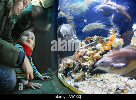 Piccolo Ragazzo e la donna di fronte a un acquario Foto Stock