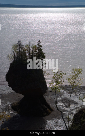 Canada New Brunswick Baia di Fundy Hopewell rocce bassa marea Foto Stock