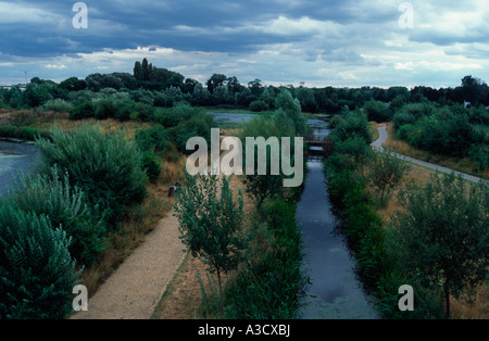 London Wetland Centre, Barnes, London SW13, Regno Unito Foto Stock