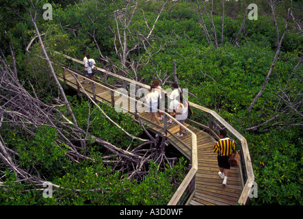 Las Cabezas de San Juan Riserva Naturale Puerto Rico West Indies Foto Stock