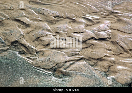 Ripple forme in sabbia causata dal flusso di acqua e vento o Foto Stock