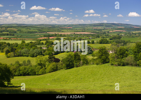 Paese di scena oltre l'Quantocks a Brendon colline ai confini di Exmoor a metà estate Somerset Inghilterra Foto Stock