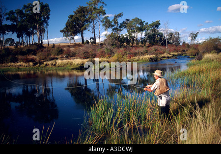 Pesca alla trota di fiume Macquarie vicino Cressy a nord-est della Tasmania Australia orizzontale Foto Stock