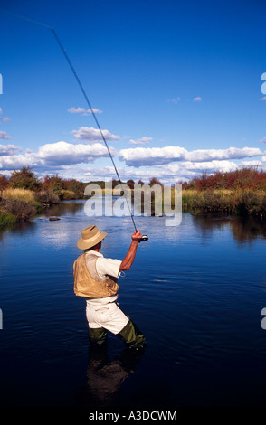 Pesca alla trota di fiume Macquarie vicino Cressy a nord-est della Tasmania Australia verticale Foto Stock