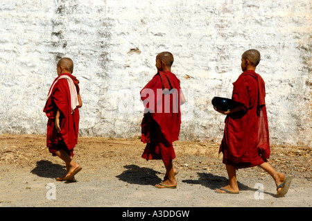 Novizi in rosso accappatoi a piedi uno dopo l'altro Maing Thauk Monastero della foresta stato Shan Birmania Foto Stock