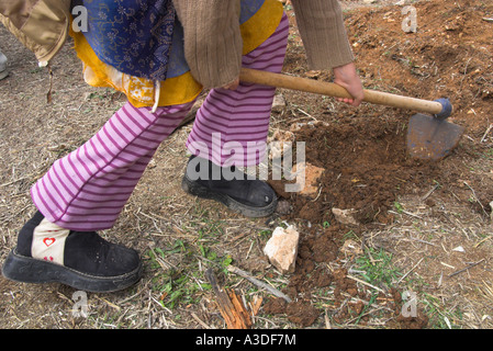 Israele Gerusalemme Museo della Natura Tu Bishvat Festival Ebraico di alberi famiglie andare e piantare alberi e seedings in open close Foto Stock