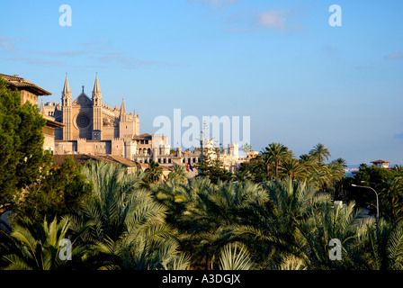 Palma de Mallorca, Cattedrale, visualizza fom Es Baluards, Isole Baleari Spagna, Europa Foto Stock