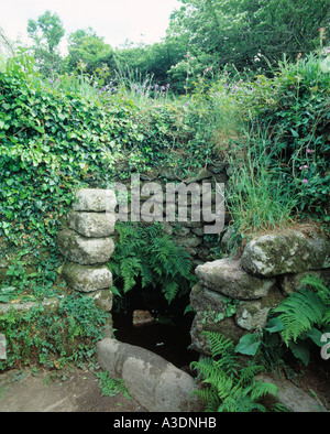 GB di Cornovaglia MADRON PENWITH WISHING WELL Foto Stock