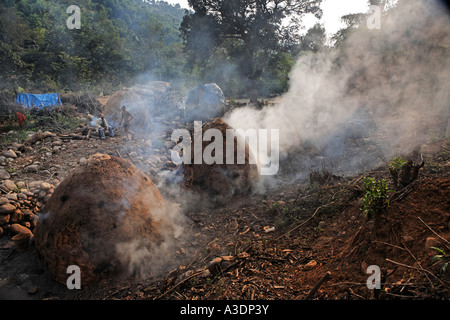 Indo-German-Changar-Eco-Development-Project, charburners vicino Bakay, Palampur, Himachal Pradesh, India Foto Stock