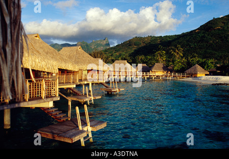 Overwater cottage con il tetto di paglia che guarda verso la riva, Sheraton Hotel di Moorea, Tahiti Foto Stock