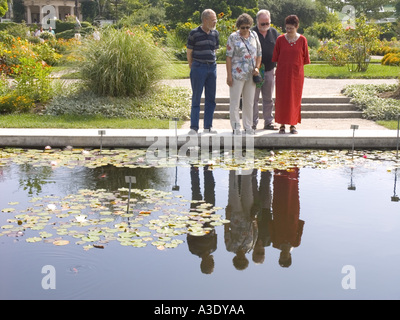 Foglie verde giardino botanico di piante boccola albero glasshouse Monaco di Baviera Germania Foto Stock