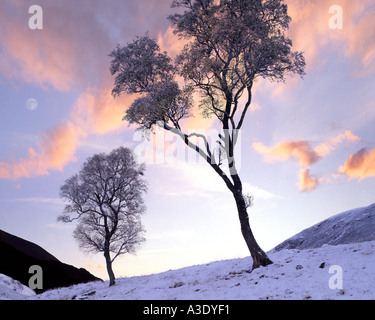 GB - Scozia: Inverno in Glen Lochsie Foto Stock