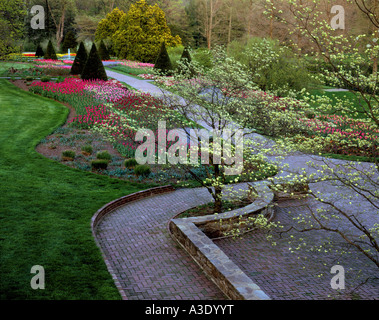 Sanguinello e tulipani a fioritura Longwood Gardens, ex Du Pont Country Estate, Kennett Square, Pennsylvania, STATI UNITI D'AMERICA Foto Stock