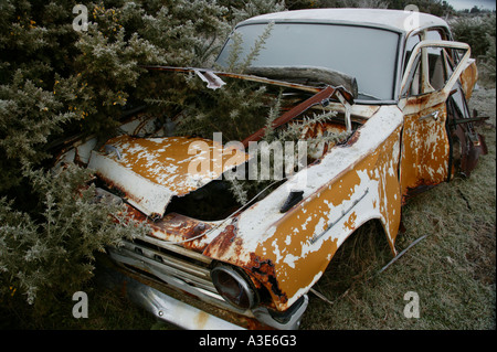 Auto abbandonate in un campo coperto di brina, ginestre bush cresce attraverso il vano motore, Nuova Zelanda Foto Stock