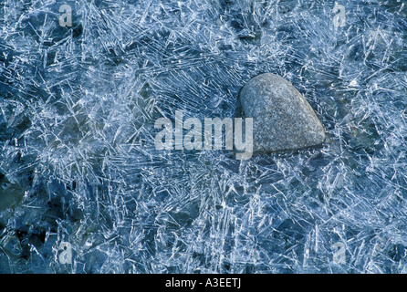Di pietra a forma di cuore incastrata nel ghiaccio Foto Stock