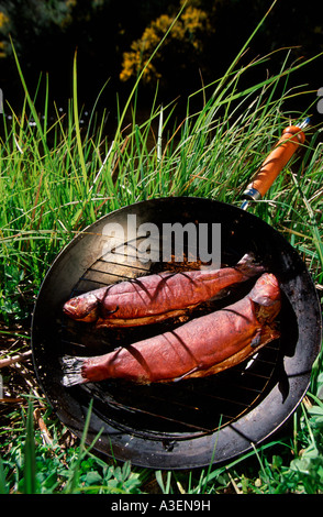 Trota affumicata preparato in un wok sul fuoco,NE Victoria, Australia Foto Stock