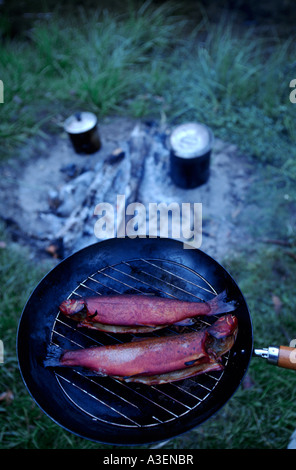 Trota affumicata preparato in un wok sul fuoco, NE Victoria, Australia Foto Stock