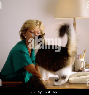 Signor donna matura alla scrivania e CAT Foto Stock