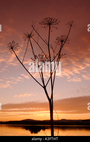 Sunset Loch di Skene XPL 4603-433 Foto Stock