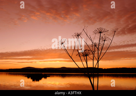 Sunset Loch di Skene XPL 4605-433 Foto Stock