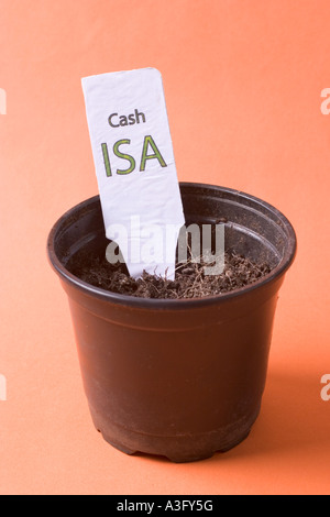 Cash ISA ISA di singoli account di risparmio fiscale del risparmio efficiente etichetta di account in impianti vaso con piccole foglie di germogli Foto Stock