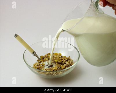 Muesli Foto Stock