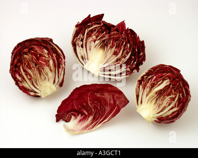 Radicchio rosso Foto Stock