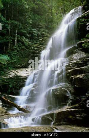 La cascata di Wentworth Falls Blue Mountains Nuovo Galles del Sud Australia Foto Stock