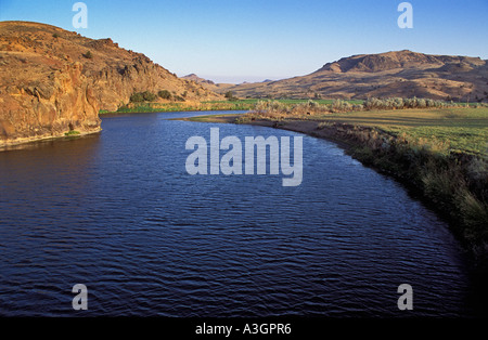 John giorno Fiume con il bestiame e ranchland vicino orientale Clarno Oregon a livello nazionale Wild Scenic River Foto Stock