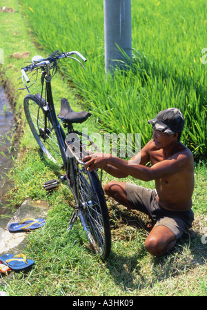 Campo locale lavoratore che frequentano la sua bicicletta da un campo di riso il fosso di irrigazione nei pressi di Ubud Bali Indonesia Foto Stock