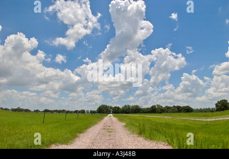 Strada di argilla e bianco cumulus nuvole e erba verde Foto Stock