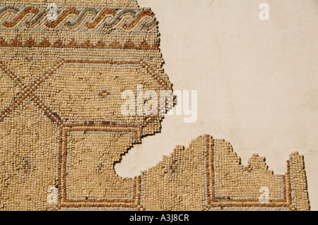 Pavimento a mosaico visualizzati al Rockefeller Museum di Gerusalemme est che ospita reperti trovati in Palestina mandataria nel 1920-30s. Israele Foto Stock