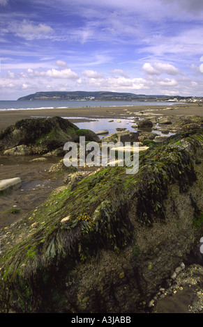 Spiaggia di scena a bassa marea a Yaverland guardando verso il Sandown e Shanklin Isle of Wight England Regno Unito Foto Stock