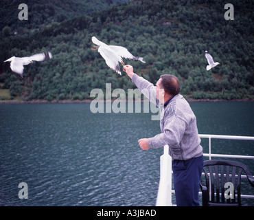 Alimentazione uomo gabbiani dal ponte di una nave traghetto western Fiordi Norvegia Foto Stock