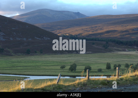 Mattina su Linn di Dee Glen Quoich vicino a Braemar Grampian Mountains Aberdeenshire Highlands scozzesi 2006 Foto Stock