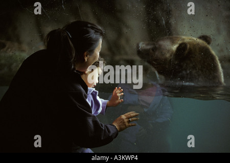 Asian madre e figlio guardando orso grizzly allo zoo Foto Stock