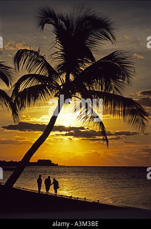 Amici a piedi all'alba lungo fiancheggiata da palme beach Key West Florida Foto Stock