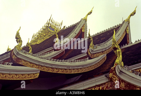 Tetto intricati dettagli riga al tempio Haw Pha Bang, Luang Prabang, Laos. DL32 Foto Stock