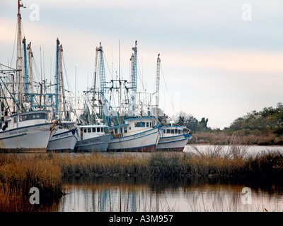 La flotta di gamberetti nel porto di Pascoagoula Mississippi e non fuori rete di pesca per i gamberi alimentari da vendere per fare una vita - molti sono vietnamiti Foto Stock