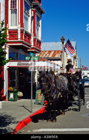 Cavallo e buggy con top driver cappello attendere per i turisti business sulla strada principale di epoca vittoriana città di Ferndale California Foto Stock