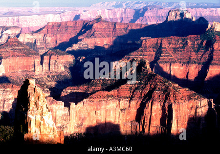 Il Grand Canyon del Fiume Colorado Arizona nord-occidentale USA Foto Stock