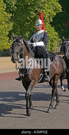 Un soldato montato dal Blues e Royals reggimento che fa parte della famiglia britannica della Cavalleria Foto Stock