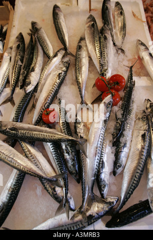 Mercato del Pesce Palermo Sicilia Italia Foto Stock