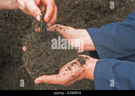 Close up di compost o humus mostra consistenza friabile e la sensazione di buon suolo di giardino. Foto Stock