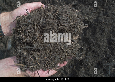 Close up di compost o humus mostra consistenza friabile e la sensazione di buon suolo di giardino. Foto Stock